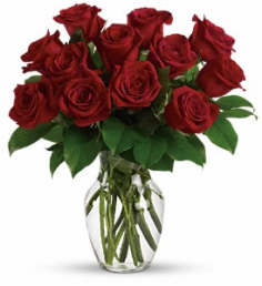 Category Image