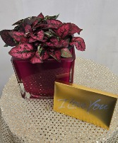 I love you more Valentine