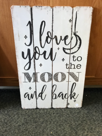I Love you to the Moon and Back 16