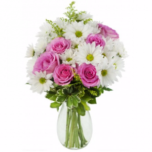 Icing On The Cake Arrangement in Winston Salem, NC | RAE'S NORTH POINT FLORIST INC. Icing On The Cake Arrangement in Winston Salem, NC | RAE'S NORTH POINT FLORIST INC.