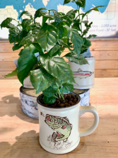 I'd Rather Be Fishing Coffee Plant in Coffee Mug