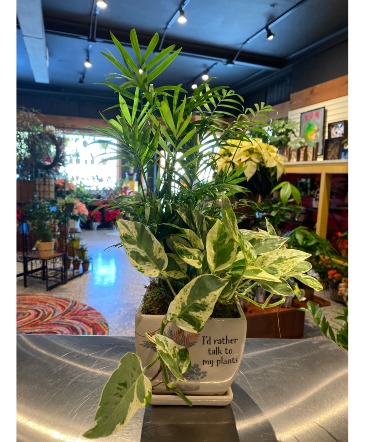 I'd Rather Talk To My Plants  in South Milwaukee, WI | PARKWAY FLORAL INC.