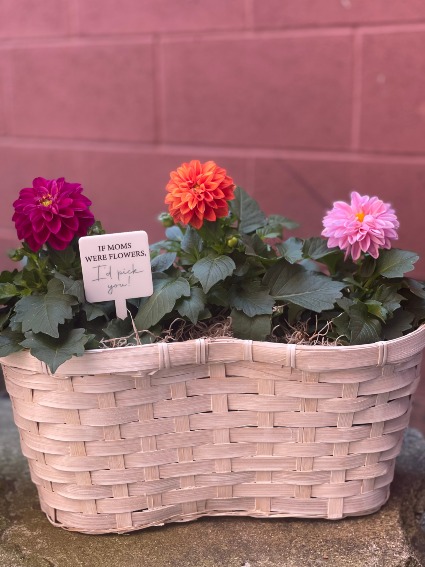 If Moms Were Flowers, I'd Pick You Planted Flowers