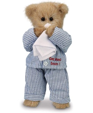 Illie Willie the Bear 
