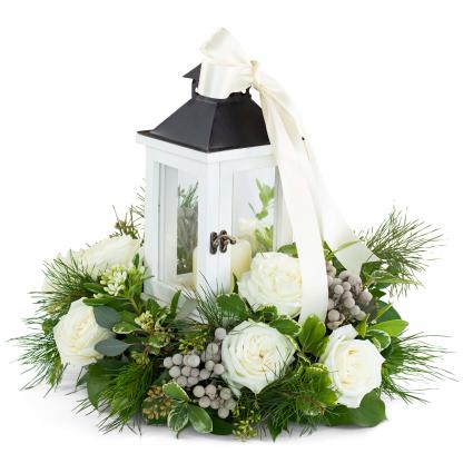 Illuminated with Wonder Arrangement