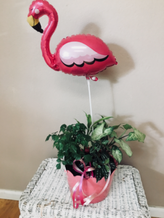I’m flamingo 4 u Dish garden