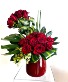 I'm so into you! 2 Dozen Roses Stylized