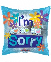 I'm Sorry Balloon  