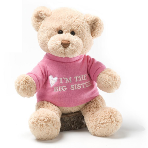 I'm the Big Sister Teddy Bear Stuffed Animal