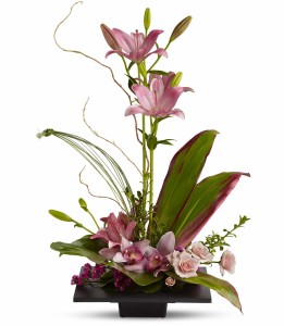 Imagination Blooms H2561A
