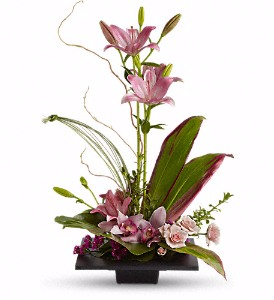 Imagination Blooms with Cymbidium Orchids 