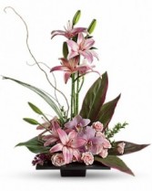 Imagination Blooms with Cymbidium Orchids everyday