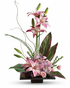 Imagination Blooms with Cymbidium Orchids Flower Arrangement