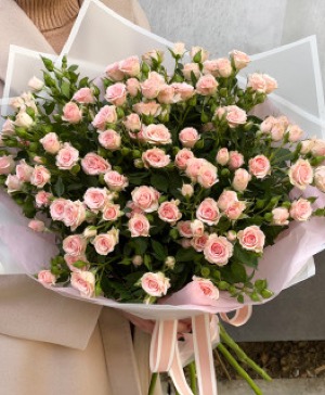 Imported Holland Pink Baby Spray roses  Imported Holland Pink Baby Spray roses 