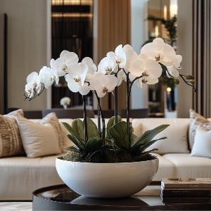 IMPRESSION BLACK in Coconut Grove, FL | Luxury Flowers IMPRESSION BLACK in Coconut Grove, FL | Luxury Flowers