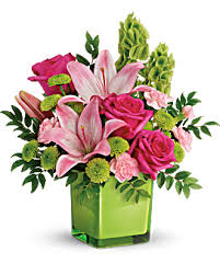 Category Image