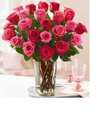 In Love With Pink and Red Roses 