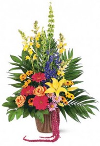 Category Image