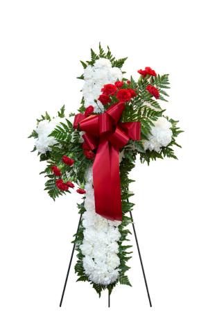Carnation Melody Cross Stranding Spray