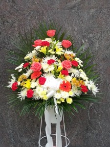 Category Image