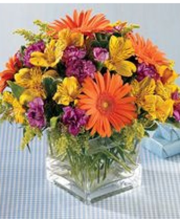 Indian Summer fresh flowers