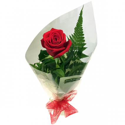 Individual Rose Wrapped Bouqet