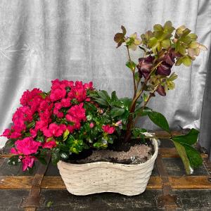 Indoor/Outdoor  Planter