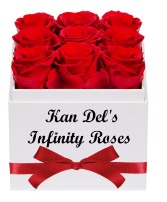 Infinity Roses Preserved Roses - Last For Always!  