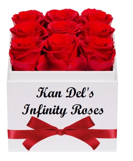 Infinity Roses Preserved Roses - Last For Always!  