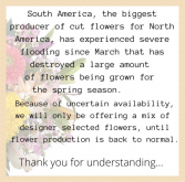 Info