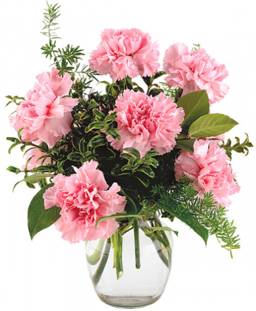 Everlasting Carnations Vase Arrangement