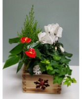 Into The Woods Seasonal Indoor Planter