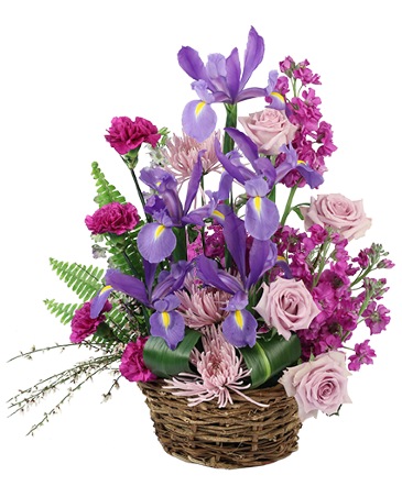 Iris Affection Basket Arrangement in Albany, NY | Ambiance Florals & Events