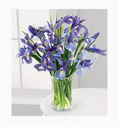 Iris Bouquet in a Vase 