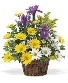 Iris & Daisy TF58-1 Basket Arrangement