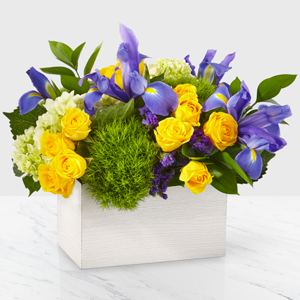 Iris fields 20-J1d