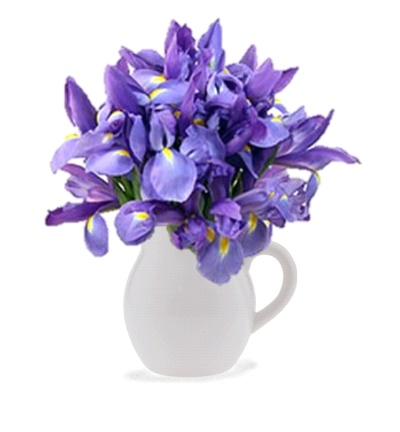 Pitcher of Iris Floral Bouquet