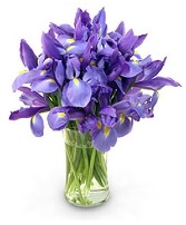  Iris in Bloom Floral Bouquet