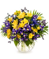  Iris & Daffodils in Bloom Floral Bouquet