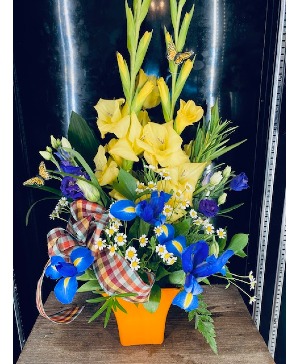Iris Lover 
