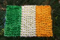 Irish Flag 