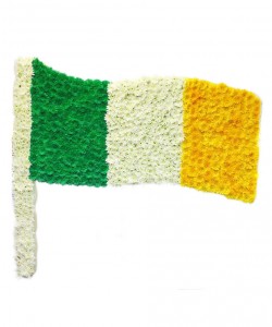Irish Flag Standing Arrangement