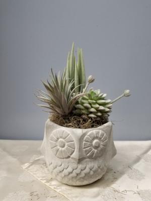 Isabel Bloom "Owl Planter" with silk flowers 
