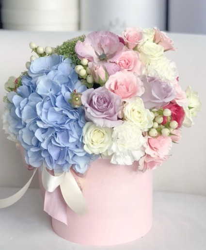 Isabella Box