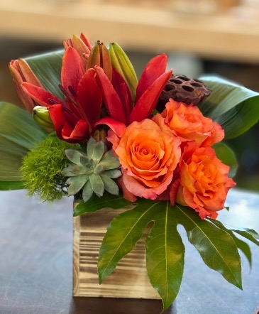 Island Blaze  in Highland, UT | Painted Daisy Florist