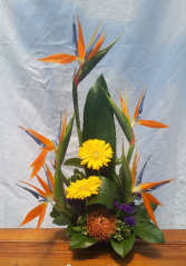 Island Dreaming Container Arrangement