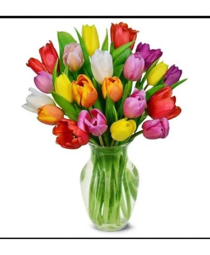 Island Grown Tulips Vase