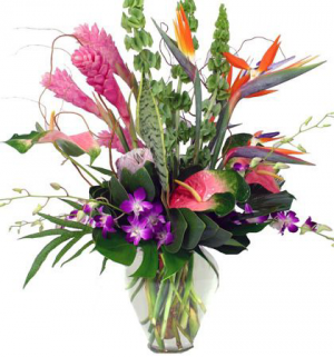 Island Paradise Tropical Collection 3-day advance order in Monument, CO | ENCHANTED FLORIST Island Paradise Tropical Collection 3-day advance order in Monument, CO | ENCHANTED FLORIST