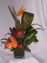 Island Tropic - Flowers Prince George BC: AMAPOLA BLOSSOMS Modern Designed Exotic Flowers Welcome To Your New Home Flowers