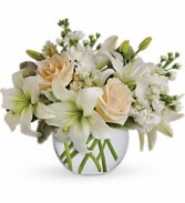 Isle of White Arrangement